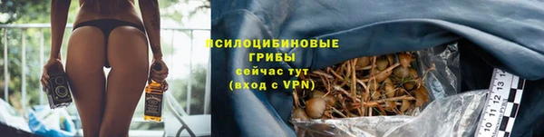 гашик Алексеевка